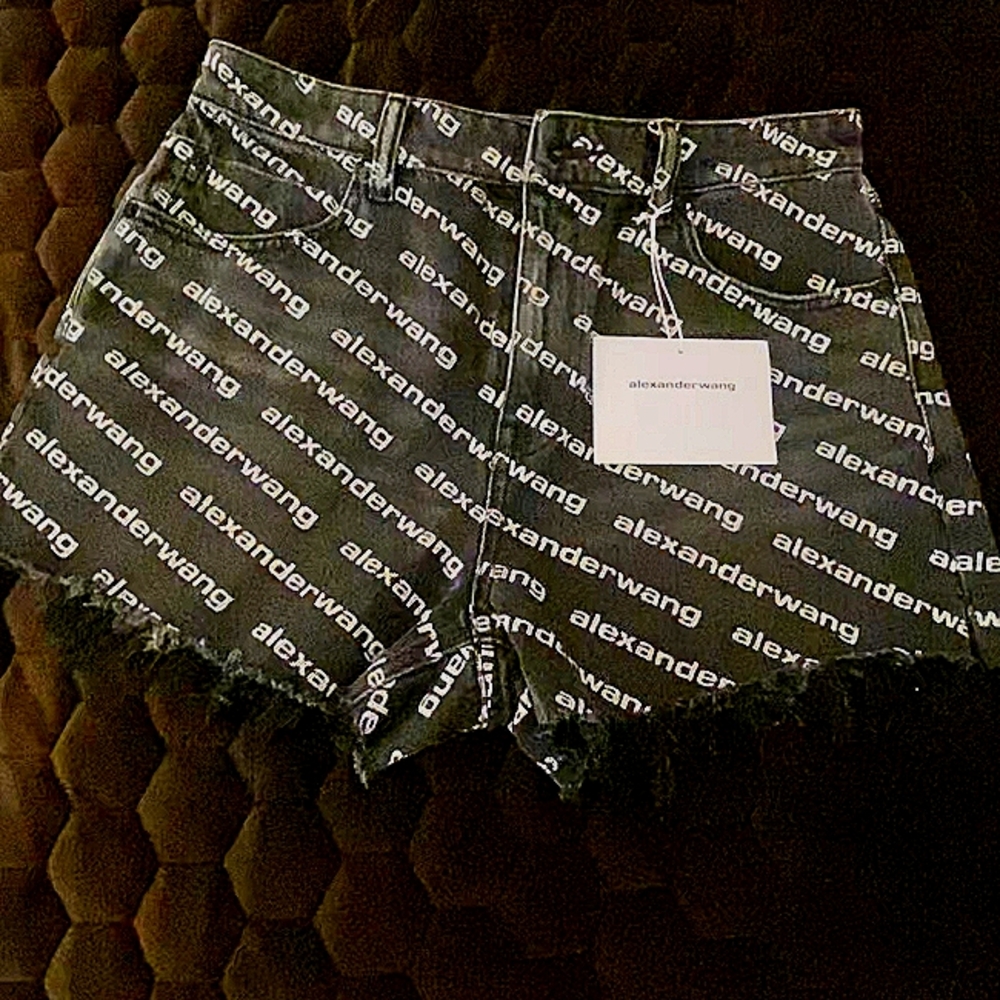 Cute! Cute!! ALEXANDERWANG DENIM SHORTS size 29